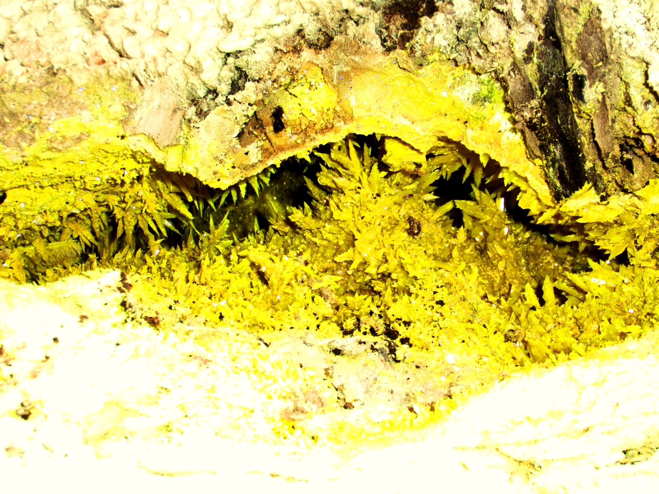 壁紙画像_草津白根山の自然硫黄