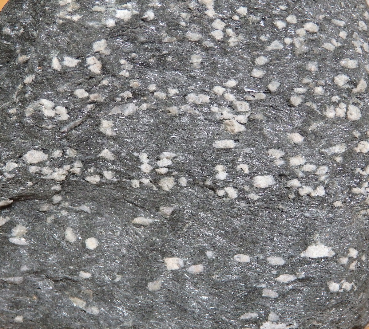 角閃岩 amphibolite 高知県汗見川三波川変成帯の角閃岩です。