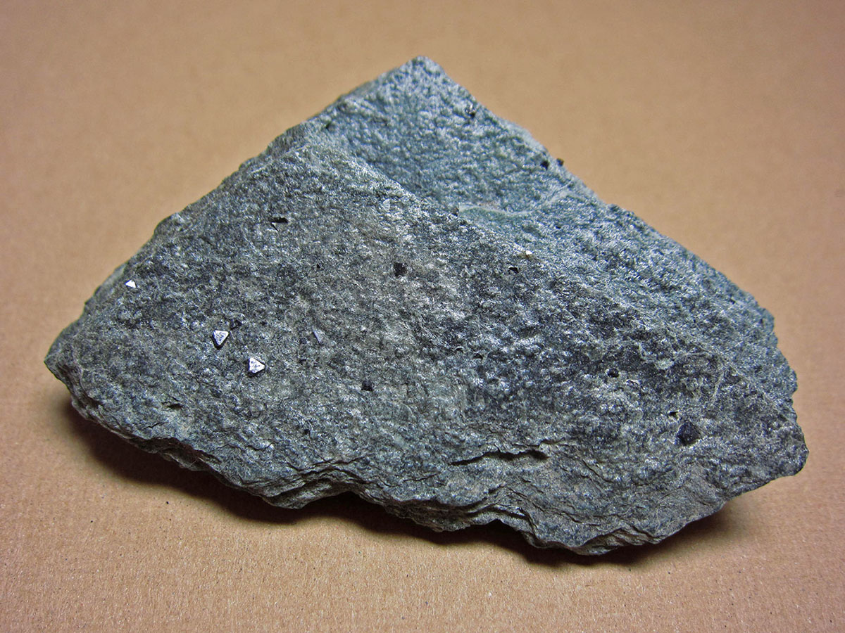 磁鉄鉱を含む緑泥片岩(りょくでいへんがん)　Loc.埼玉県親鼻 magnetite bearing greenschist (chlorite schist) Saitama, Japan