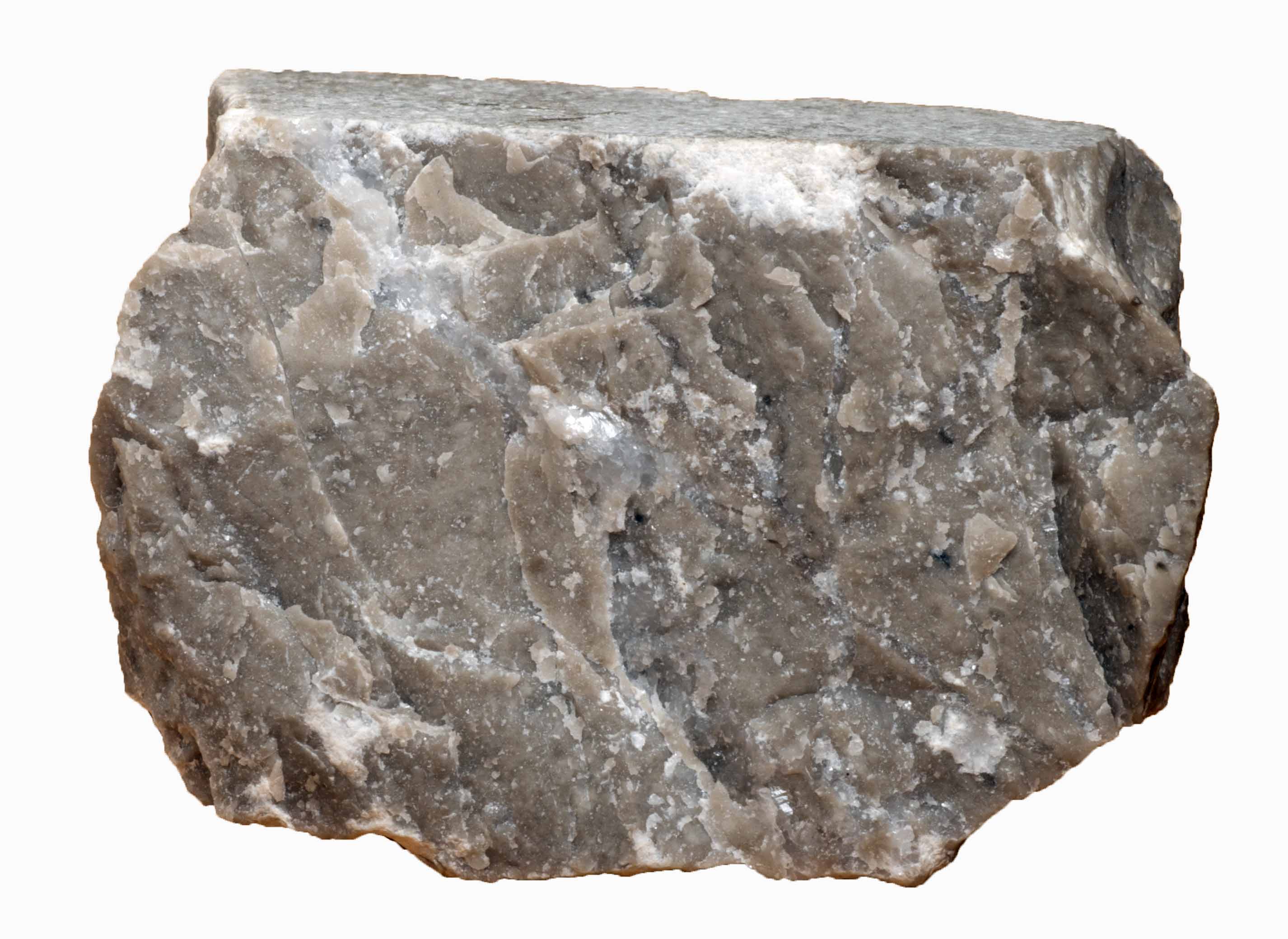 石灰岩(せっかいがん、limestone, ライムストーン)　灰色の石灰岩の岩石標本の写真