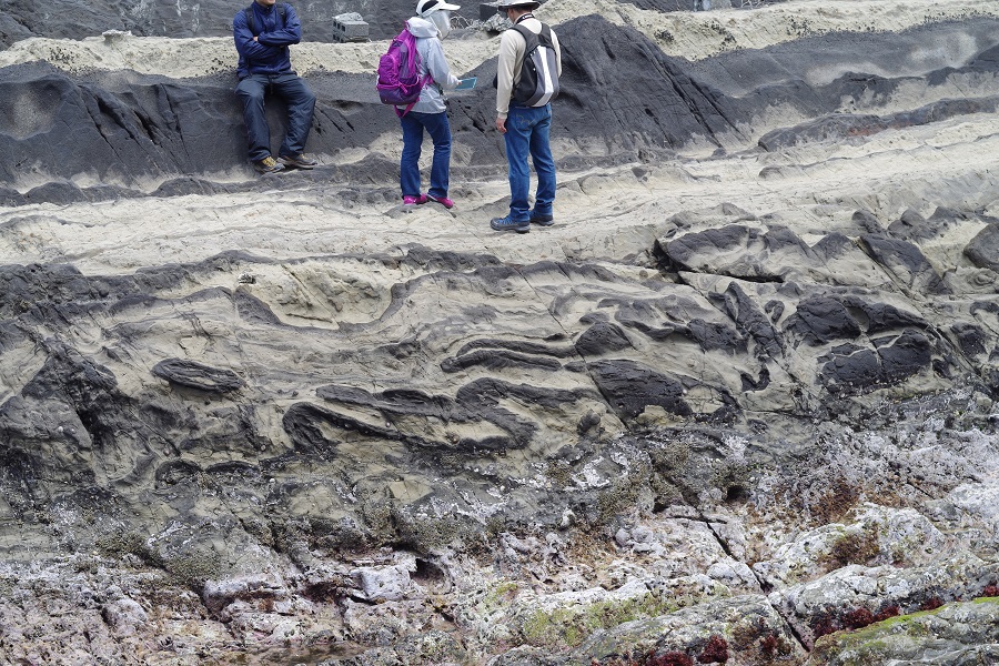 神奈川県城ヶ島の地学-地層観察巡検-城ヶ島 シルト岩とレキ岩のスランプ構造の露頭