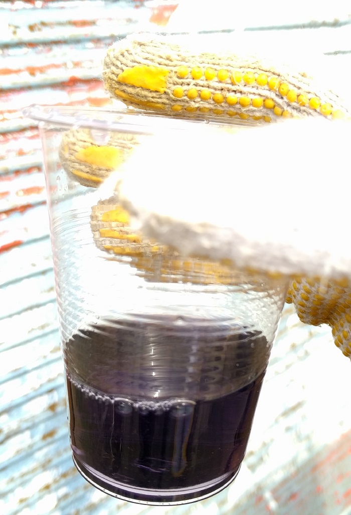 熊本県阿蘇の日本リモナイト鉱山。鉱山敷地内の井戸水に緑茶を入れるとタンニン鉄を形成して瞬時に濃い紫に変色