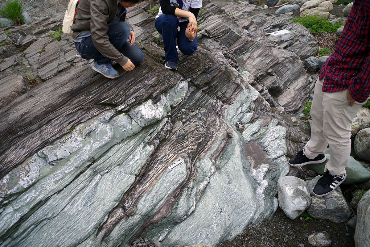埼玉県 長瀞 虎岩 結晶片岩 スティルプノメレン片岩と緑色片岩はミックスされたようになっている。