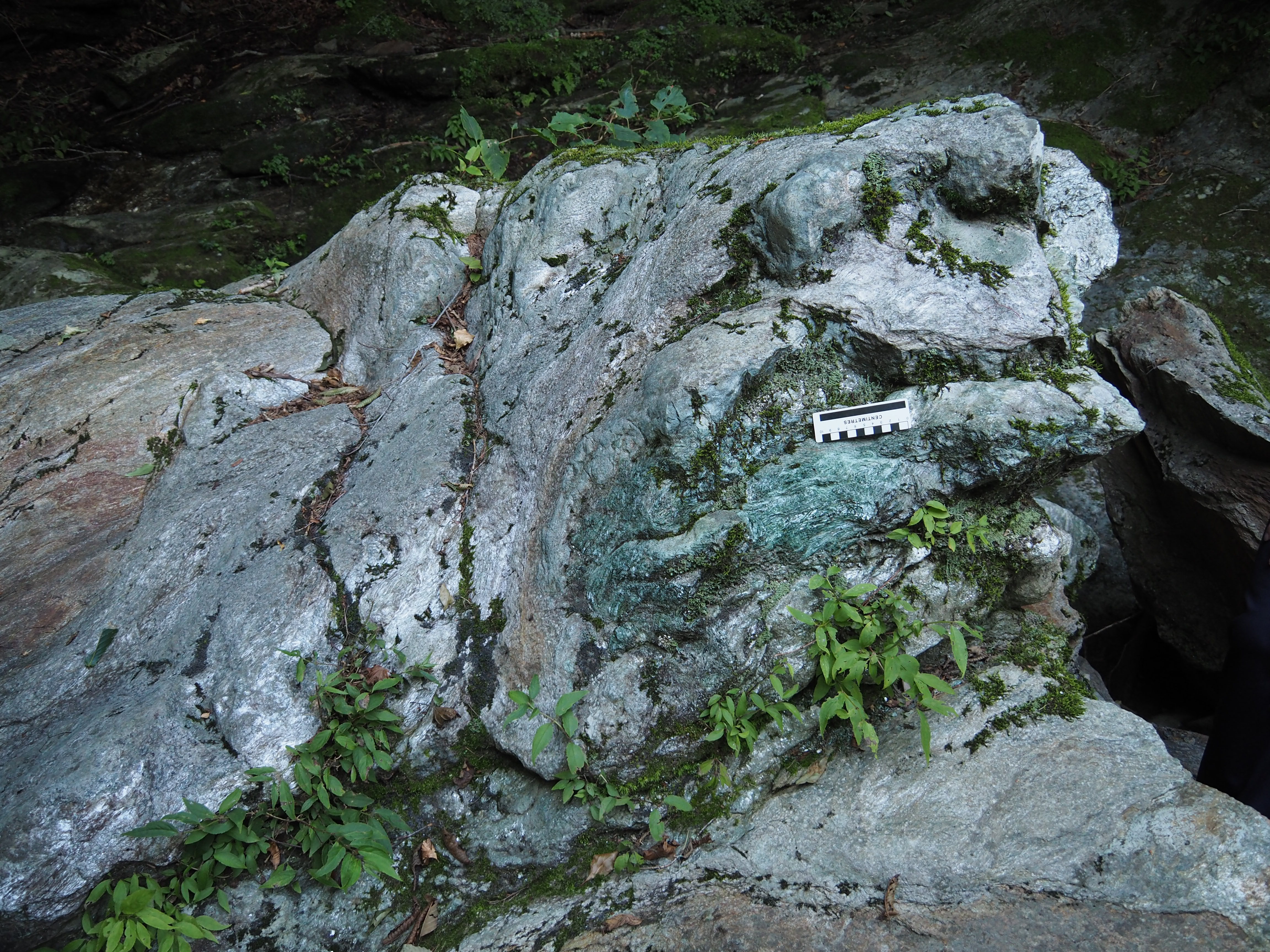 埼玉県 長瀞 虎岩 結晶片岩 スティルプノメレン片岩と緑色片岩はミックスされたようになっている。