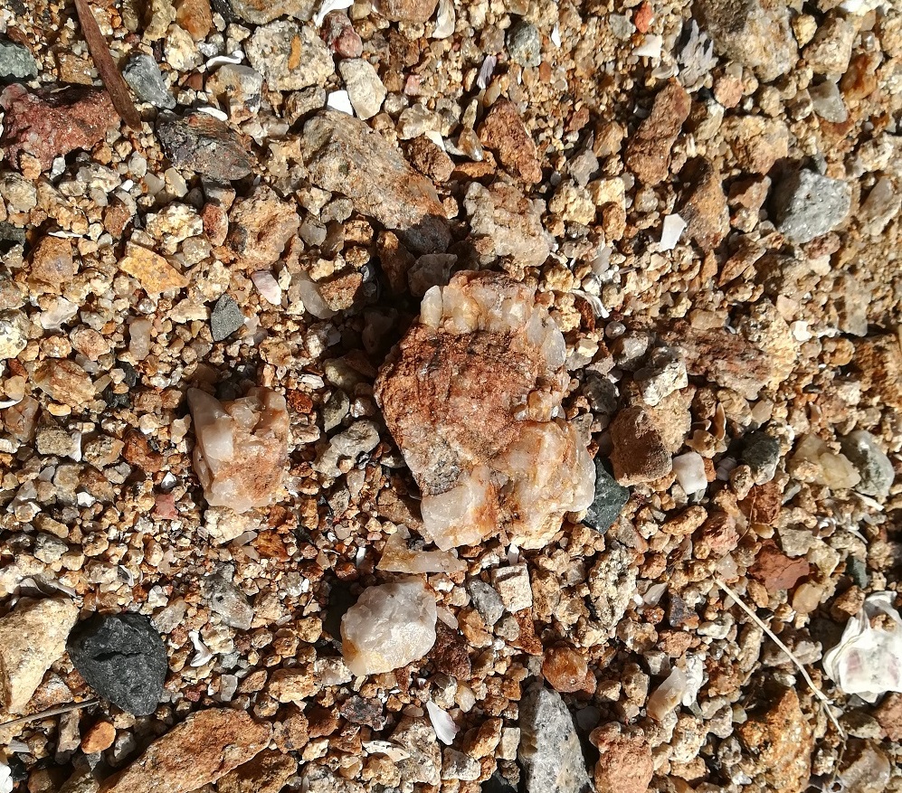 山口市周防大橋下の海岸には熱水鉱脈のカケラである石英の塊が多数落ちています。これらの中から水晶を探します。