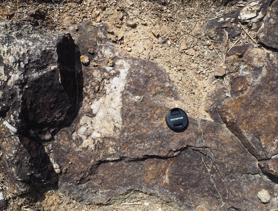 藤尾山頂上の付近の露頭中の石英脈のアップ。残念ながら鉄マンガン重石の様子はどこにも見られなかった