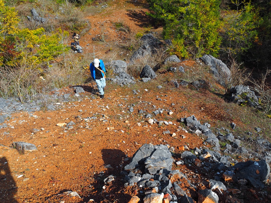 喜多平鉱山の露頭は結晶質石灰岩(大理石)で、スカルン鉱物はほとんど見られない。風化によって表面は黒灰色に変色している。