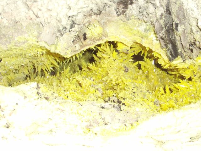 草津白根山殺生河原の温泉噴気変質帯_噴気孔に生成した硫黄の結晶(自然硫黄)