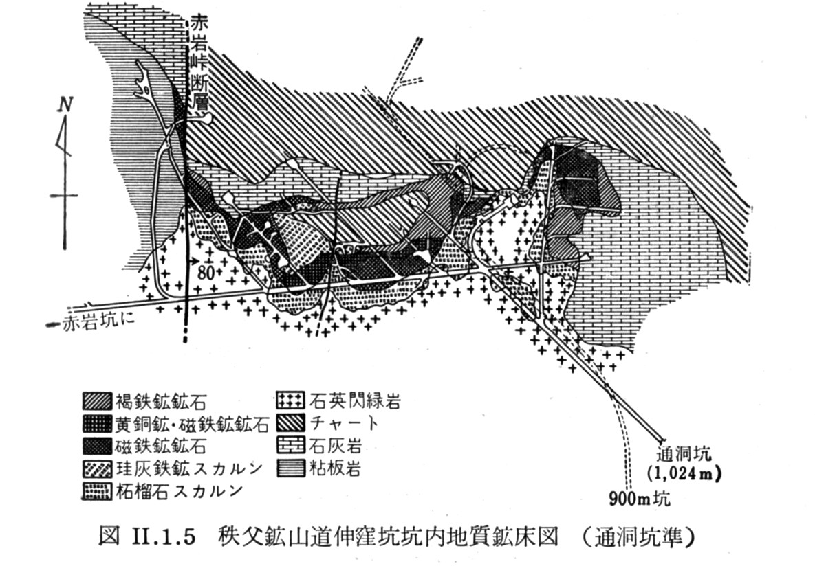 秩父鉱山道伸窪鉱床の鉱山坑内地質図