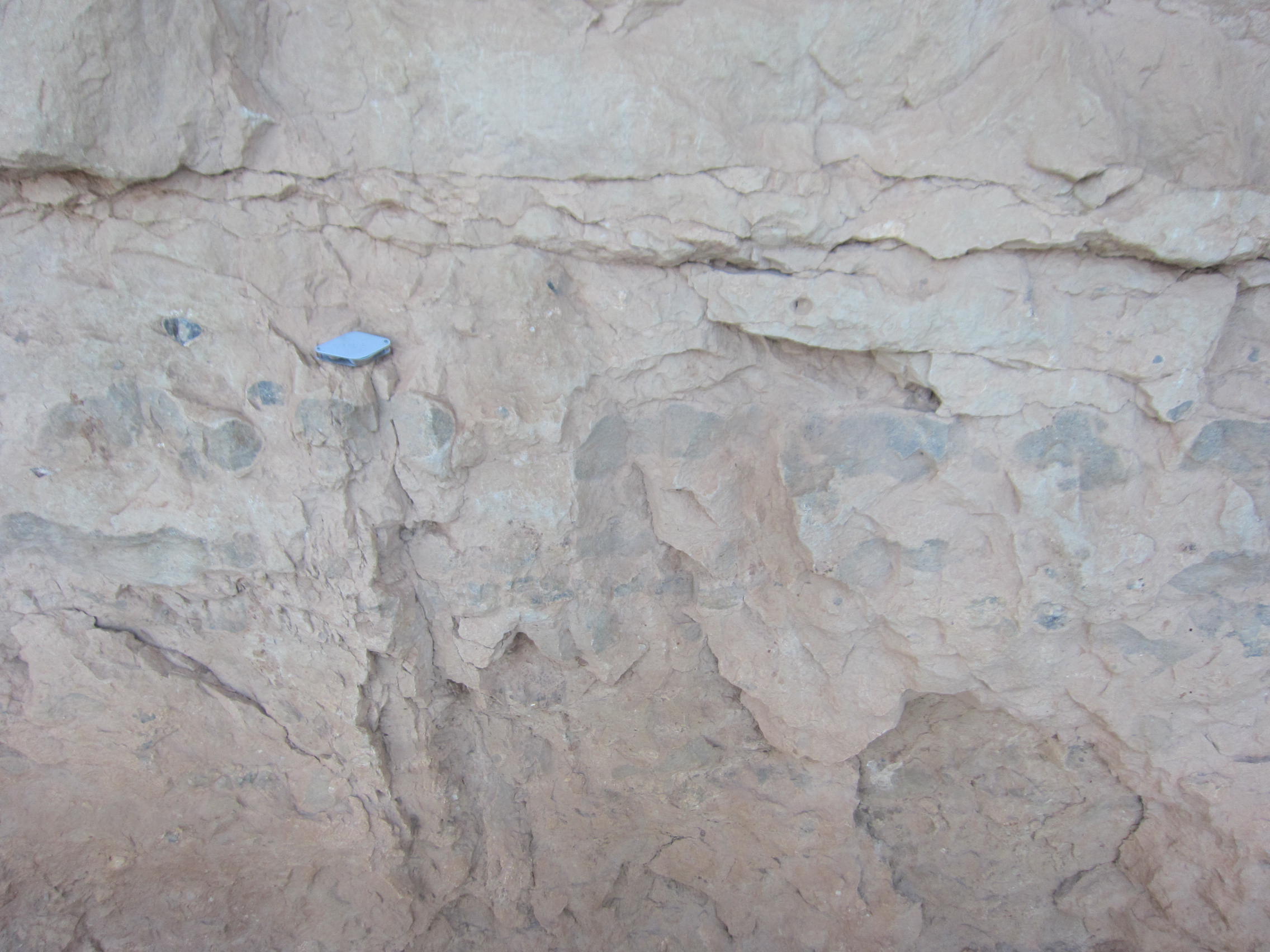 Grand CanyonグランドキャニオンBrightAngelTrailブライトエンジェルトレール石灰岩Limestone