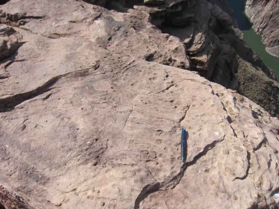 Grand CanyonグランドキャニオンBrightAngelTrailブライトエンジェルトレールプラトーポイントPlateauPointカンブリア紀の地層と化石