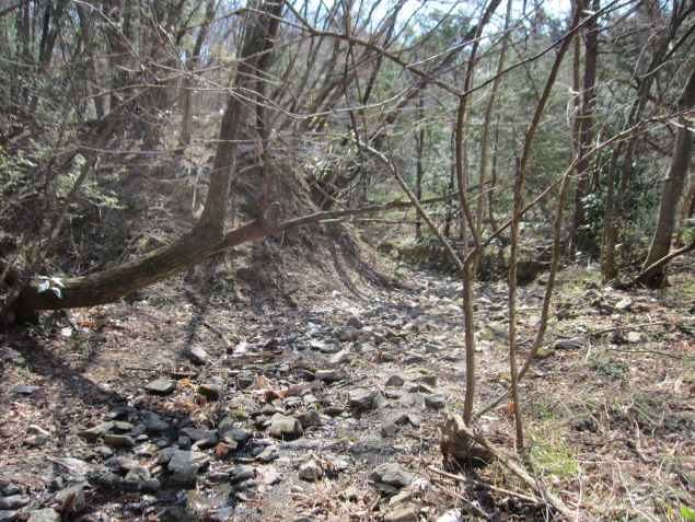 埼玉県寄居町西ノ入で見られるヒスイ輝石や藍閃石を含む岩石_稚童岩