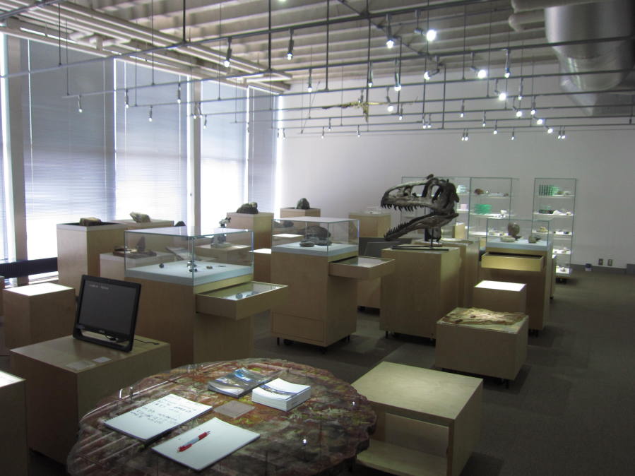 東京工業大学博物館(百年記念館)_地球史資料館展示の様子