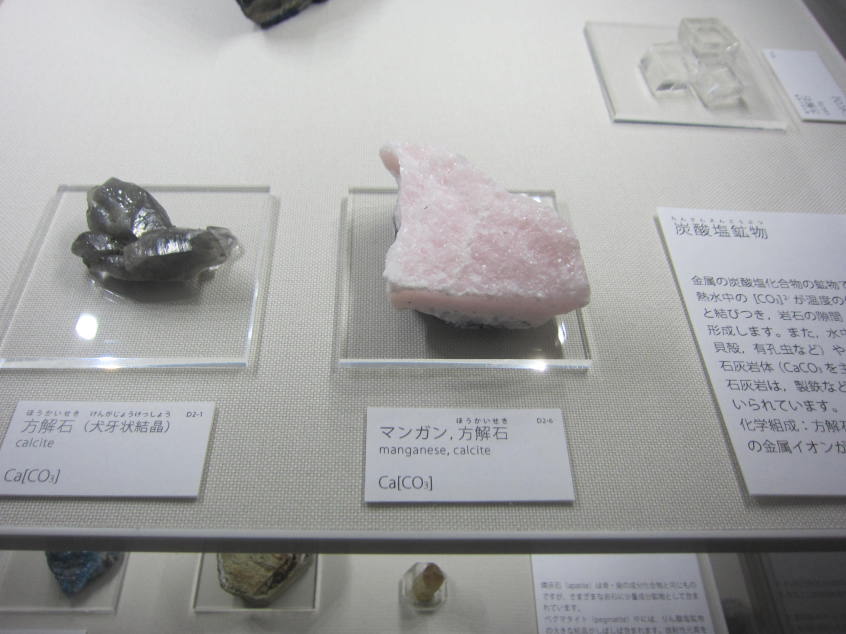 東京工業大学博物館(百年記念館)_地球史資料館展示_鉱物標本