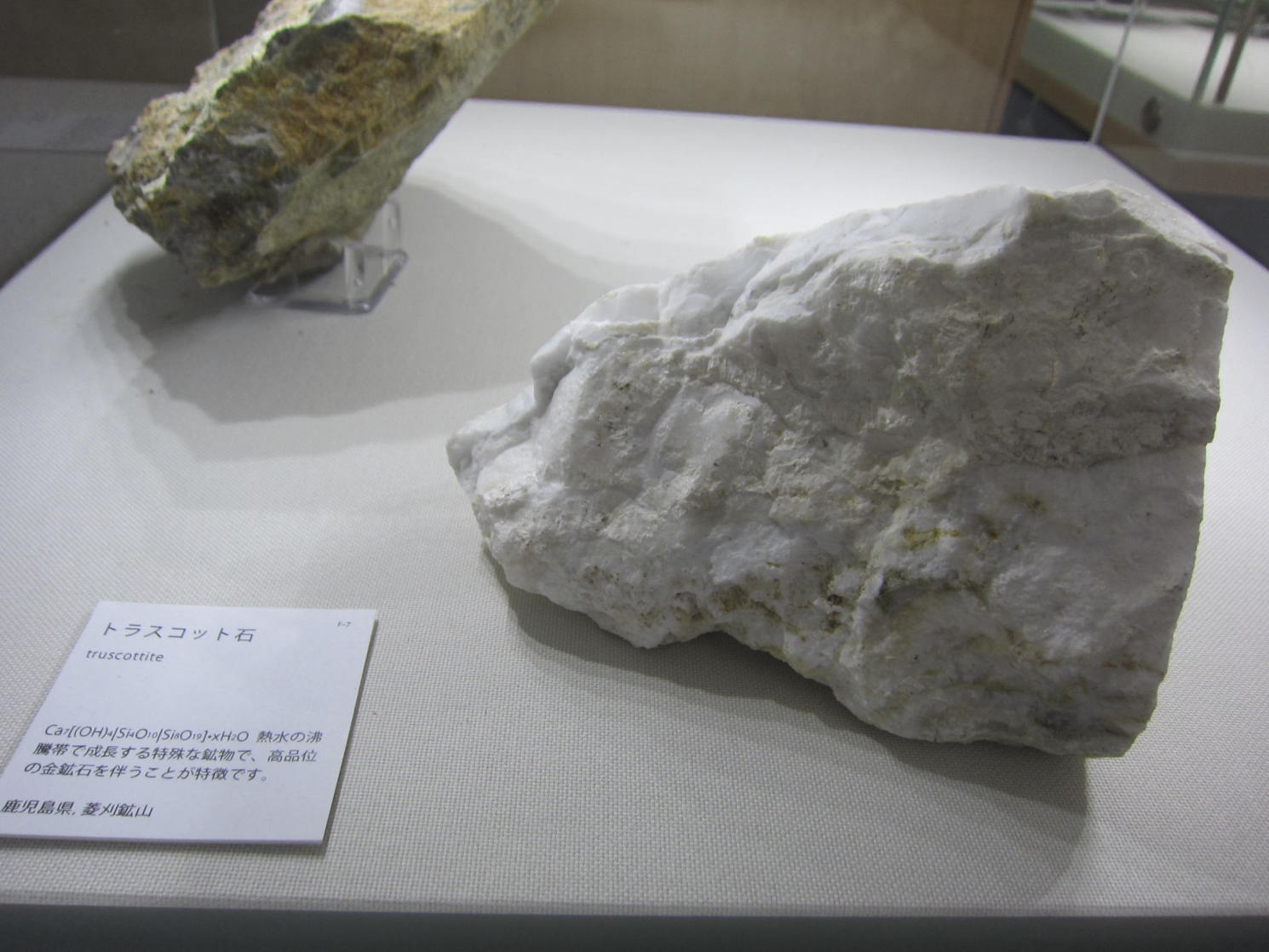 東京工業大学博物館(百年記念館)_地球史資料館展示_菱刈鉱山のトラスコット石truscottite
