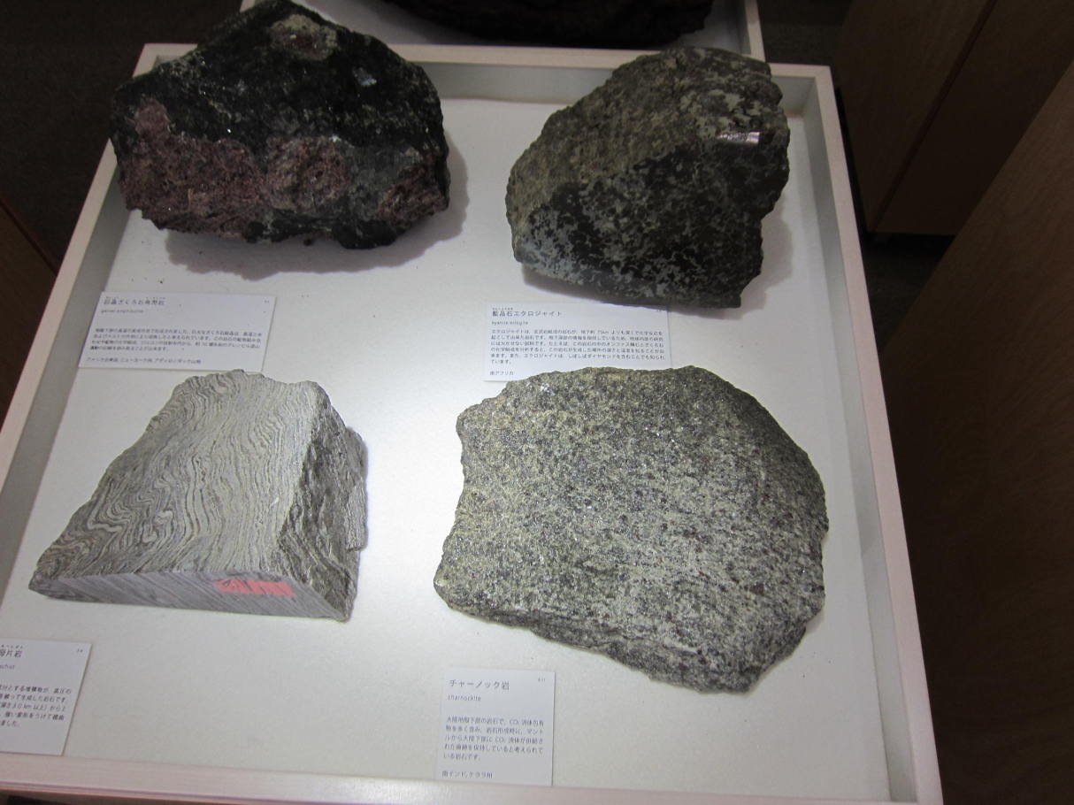 東京工業大学博物館(百年記念館)_地球史資料館展示_チャーノッカイトや結晶片岩など変成岩類