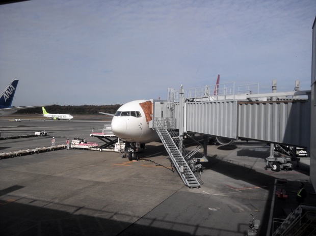 空から日本を見てみよう！羽田→熊本　熊本空港の飛行機