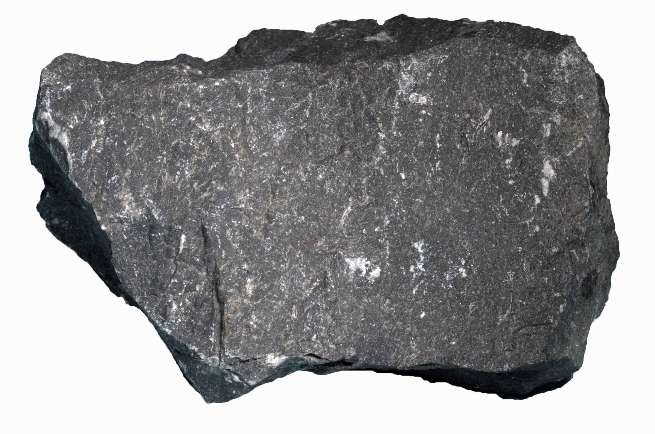 石灰岩(せっかいがん、limestone, ライムストーン)　栃木県葛生の黒色の石灰岩の岩石標本の写真