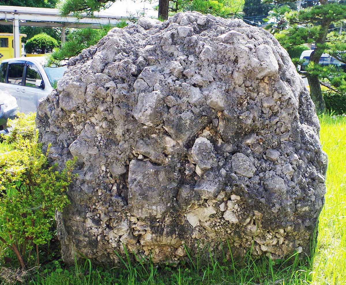 石灰質角礫岩 calcareous breccia (栃木県葛生; Kuzu, Tochigi Pref, Japan)