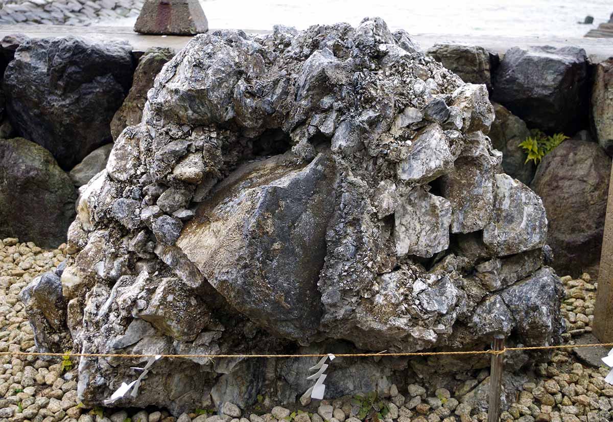 石灰質角礫岩 calcareous breccia