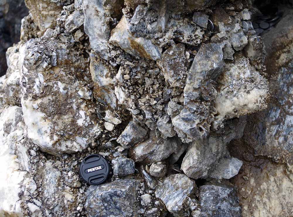 石灰質角礫岩 Calcareous Breccia 岩石鉱物詳解図鑑planetscope