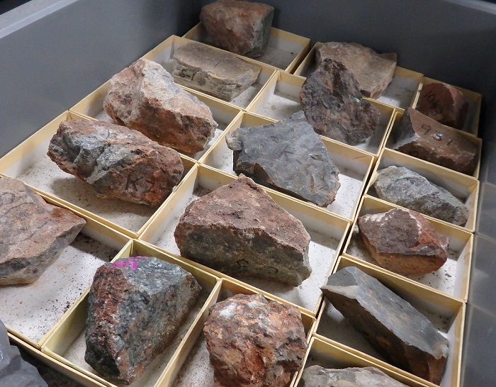 研究用に採集・整理された岩石標本_1つずつ紙製の小箱に入れ、それらをもろ蓋に並べて収納してある