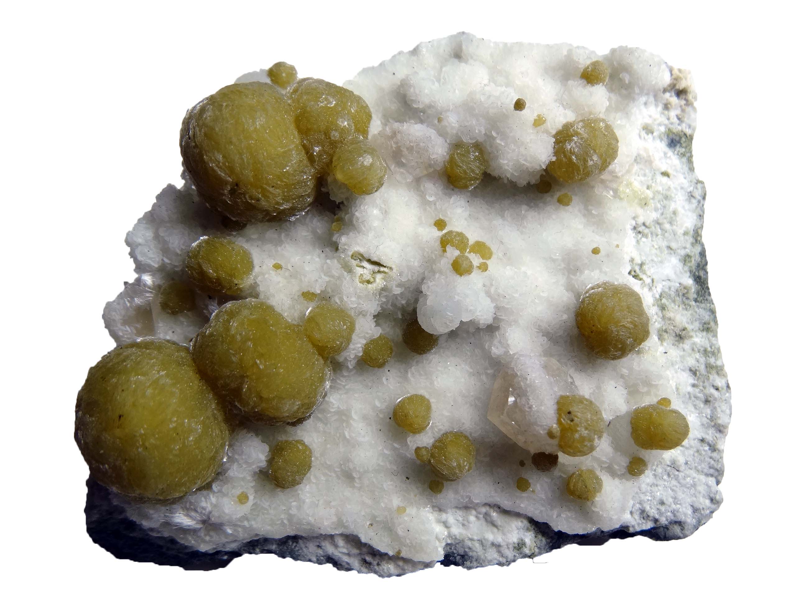 ガイロル石(gyrolite、 ガイロライト、ギロライト、ギロル石)の黄褐色結晶の球状集合 Loc. インド デカン高原