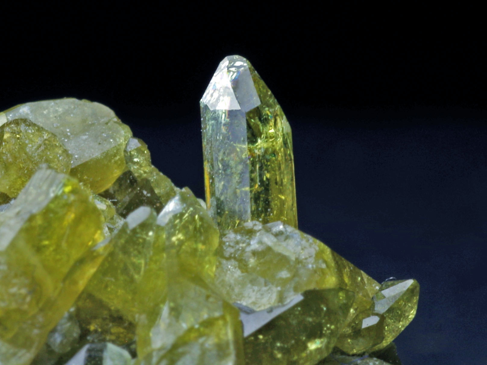 先端の尖ったベスブ石の結晶。アフガニスタン。Pointed vesuvianite crystals Afghanistan