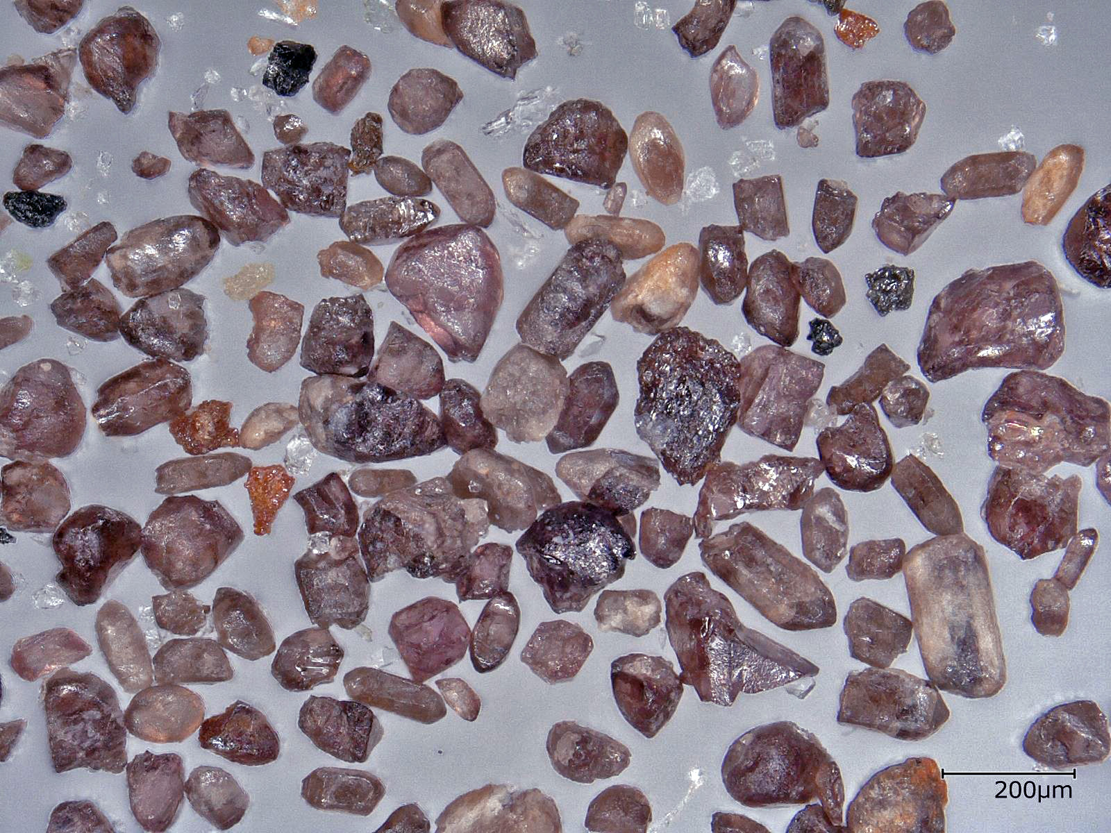 カーボナタイト中から分離された宝石質のジルコン。Loc. Mudtank, W. Australia